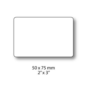 blank